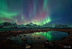 18_auroras1-blog480